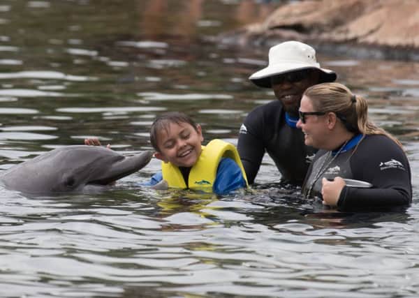 Joseph Mahmud, 10, from Portsmouth, swims with a dolphin during the Dreamflight visit to Discovery Cove in Orlando, Florida Picture: Steve Parsons/PA Wire