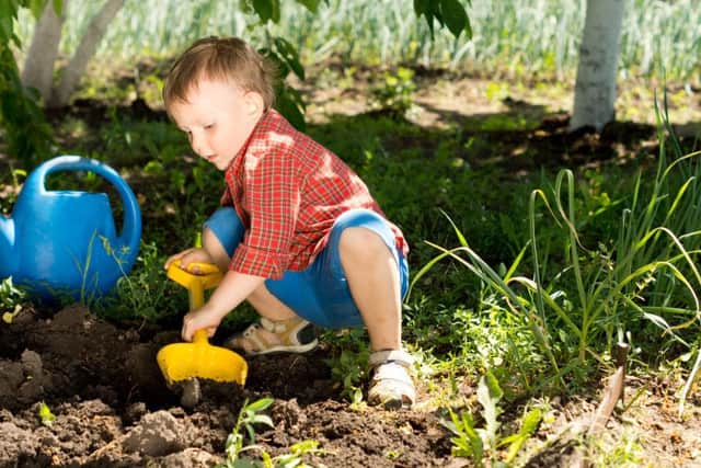 Little Louie was determined to dig the biggest hole.