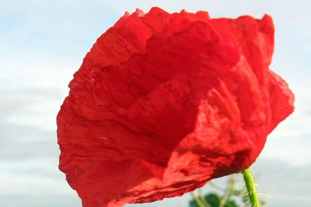 Picture: David Bazley ENGNNL00120110214141915