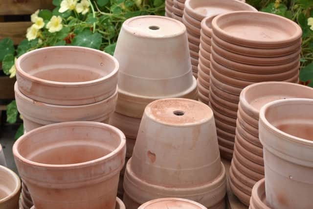 It's time to clean your flowerpots