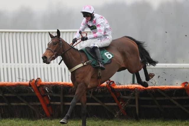 Two Swallows and Nico de Boinville on their way to victory at Towcester last season