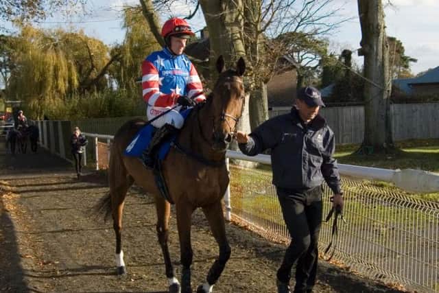 Tacenda and jockey Noel Fehily at Fontwell