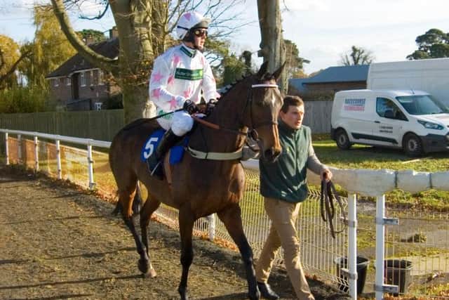 Two Swallows and jockey Nico de Boinville