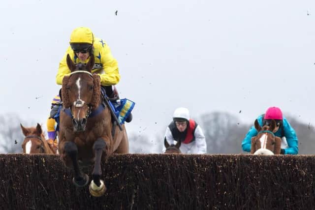 Killala Quay, stable-mate of Azure Fly