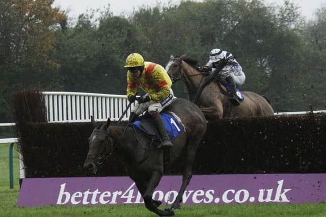 Cresswell Breeze on her previous appearance at Fontwell in 2015. Picture: Clive Bennett