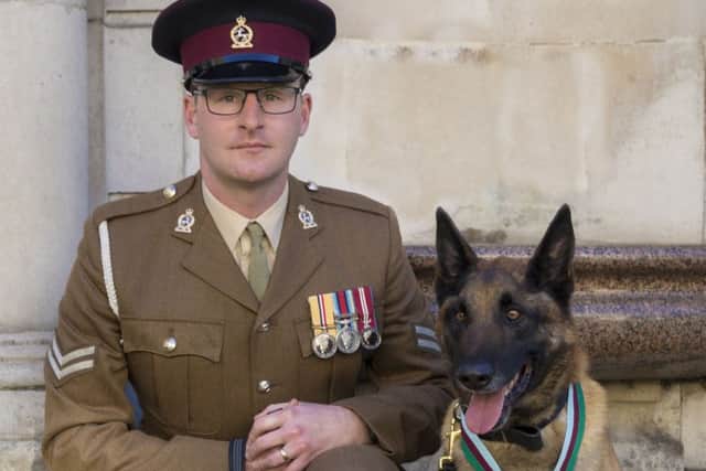 British military dog Mali who has received the PDSA Dickin Medal, the animal equivalent of the Victoria Cross with his current handler Corporal Daniel Hatley