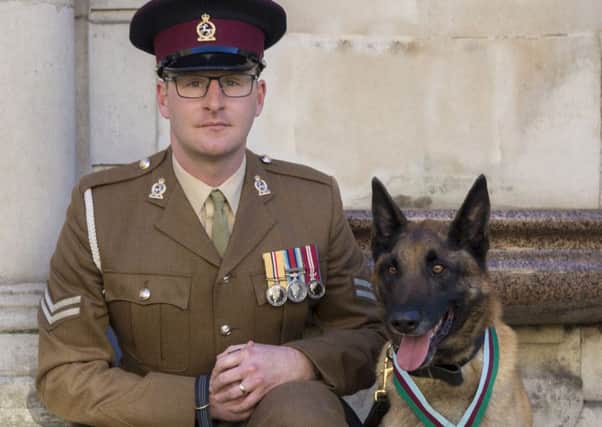 British military dog Mali who has received the PDSA Dickin Medal, the animal equivalent of the Victoria Cross with his current handler Corporal Daniel Hatley