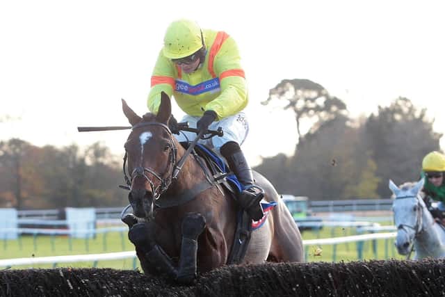 Cresswell Breeze on her way to Southern National glory. Picture: Fontwell Park