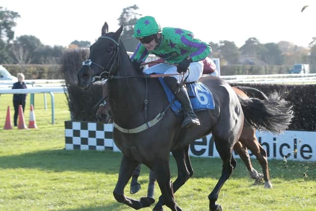 Markov and jockey Tom Bellamyon their way to victory. Picture: Fontwell Park