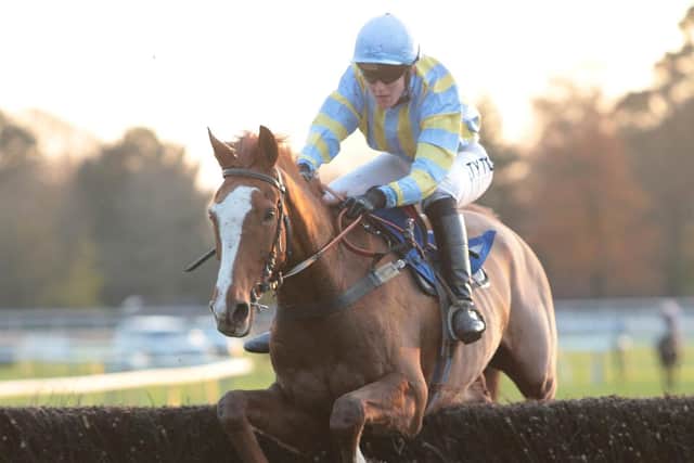 Spiritofchartwell won the final race on the card. Picture: Fontwell Park